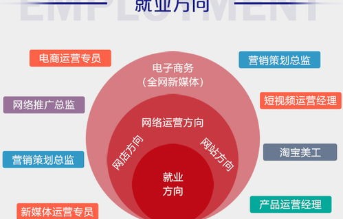 电子商务是什么类的专业