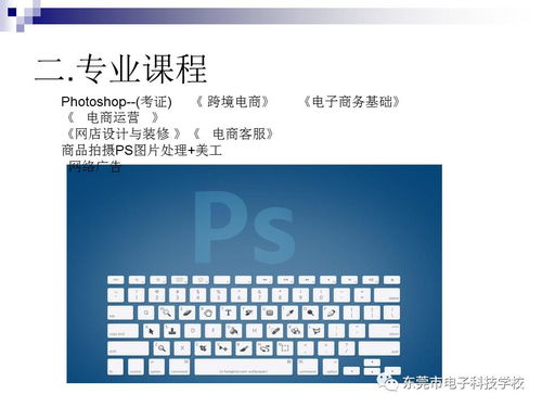 计算机电子商务专业名称