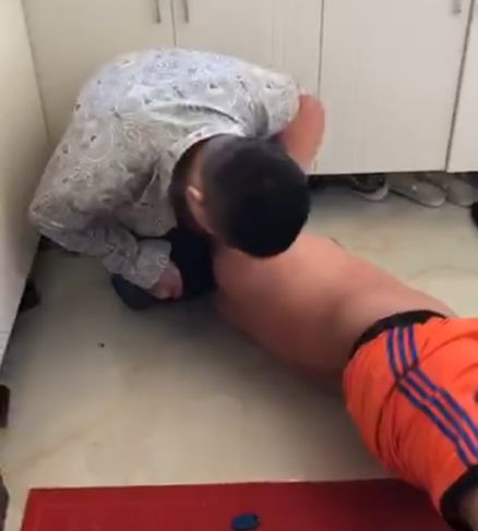 台州海狮满身伤痕疑为虐待所致？揭秘背后的真相